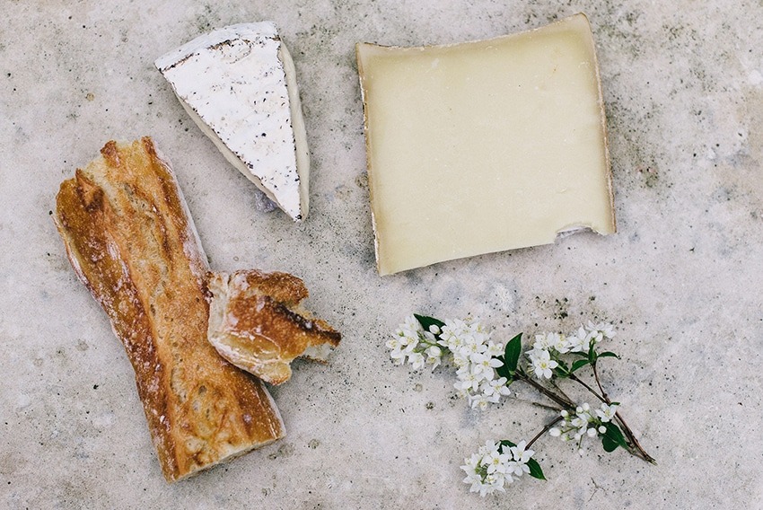 Käse_Alice Donovan Rouse_Kategorie
