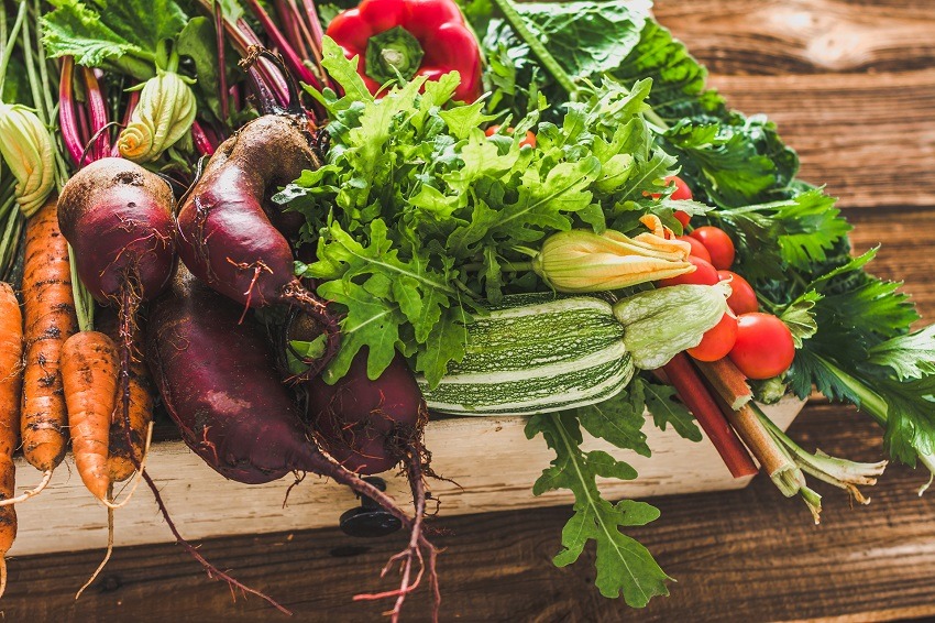 Organic produce and harvested vegetables. Fresh farm vegetable in the box on farmer market.
